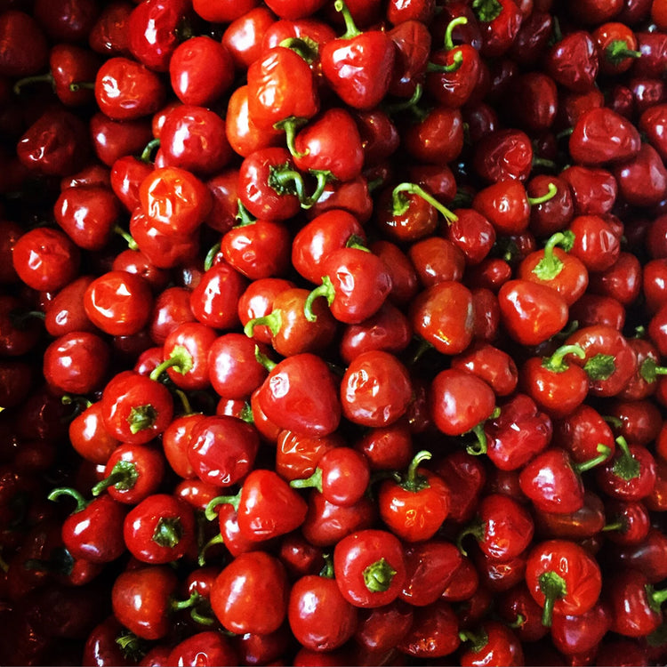 Hot Sauces